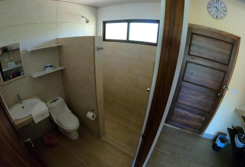 호텔 Cabinas El Colibri