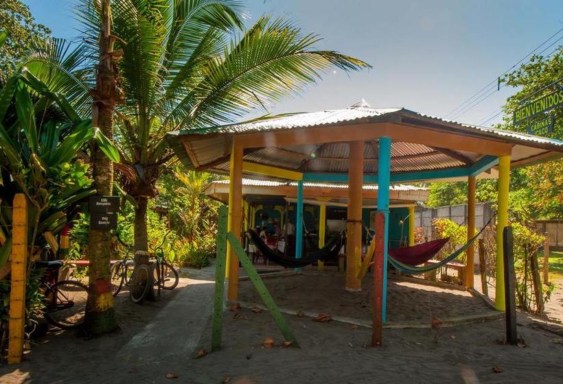 Отель El Icaco Tortuguero
