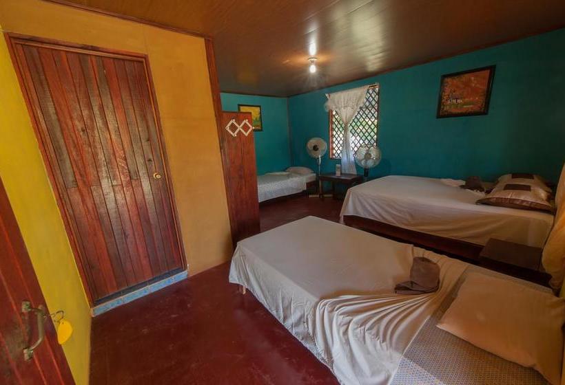 Отель El Icaco Tortuguero