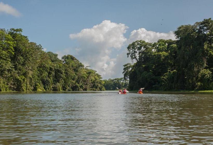 Отель El Icaco Tortuguero
