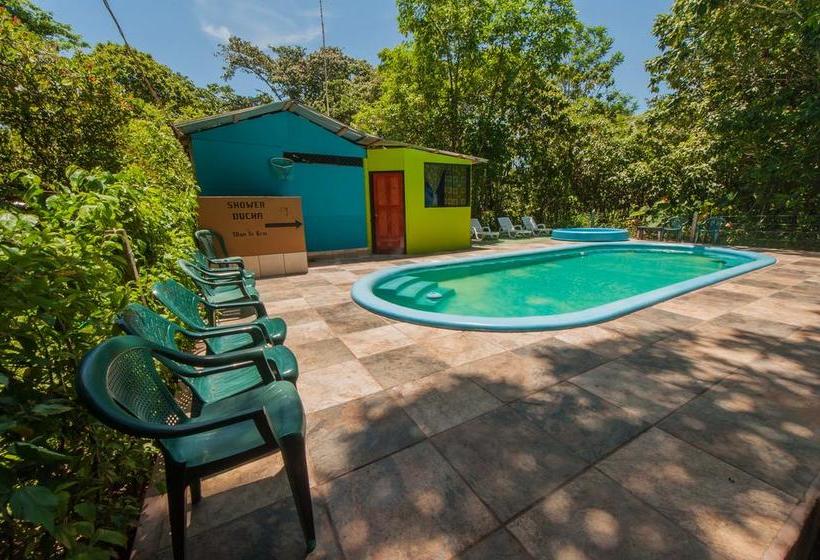 Отель El Icaco Tortuguero