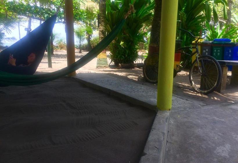 Отель El Icaco Tortuguero