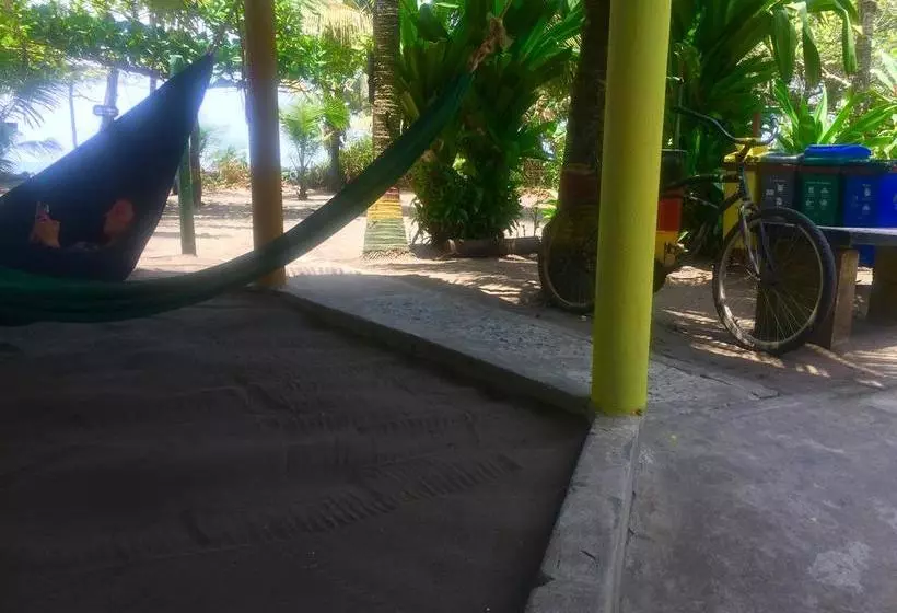 هتل El Icaco Tortuguero