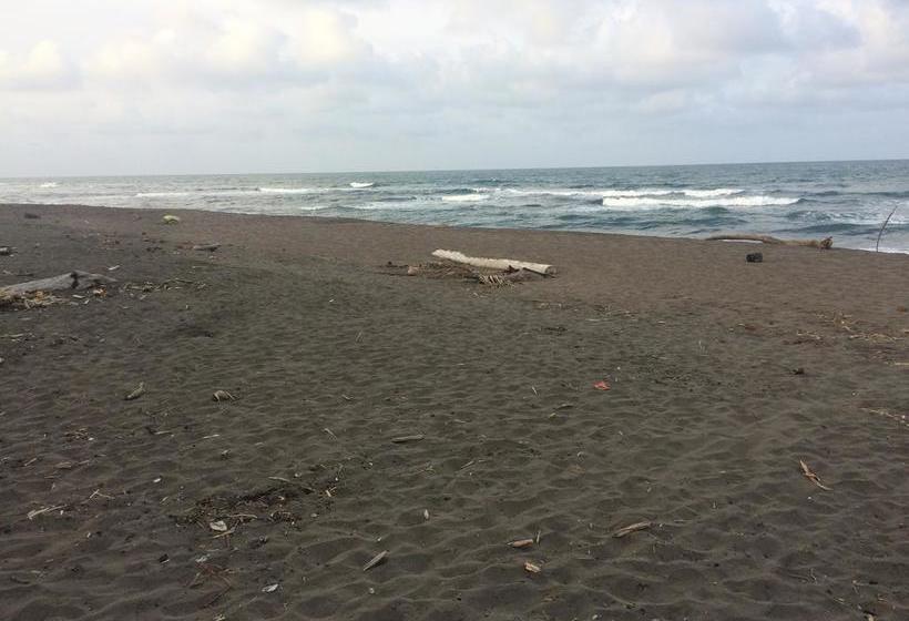 Отель El Icaco Tortuguero
