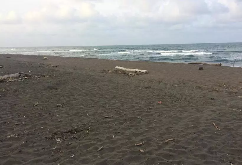 هتل El Icaco Tortuguero