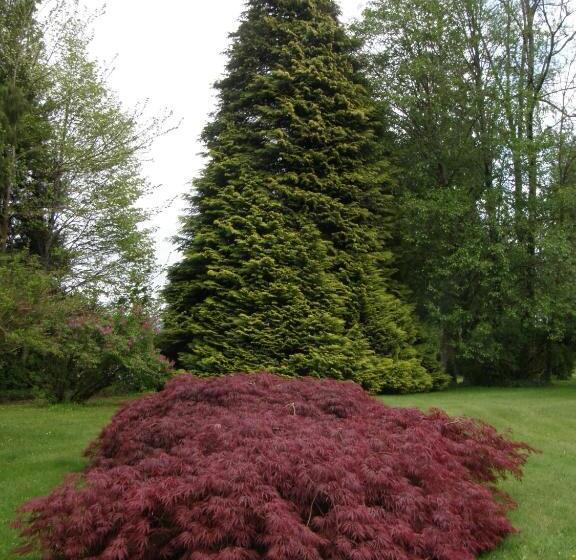 فندق Cedar Wood Lodge Bed & Breakfast Inn