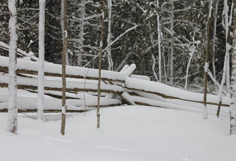 Hotel Golden Pathways Retreat And B&b