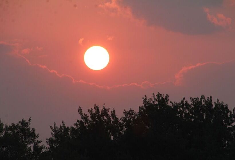 Hotel Golden Pathways Retreat And B&b