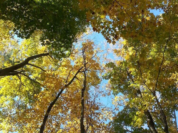 Hotel Golden Pathways Retreat And B&b