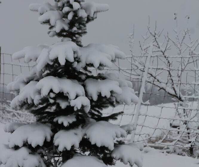 Hotel Golden Pathways Retreat And B&b