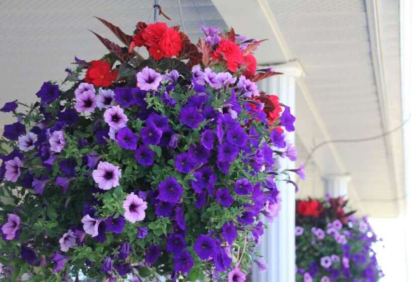 Hotel Golden Pathways Retreat And B&b