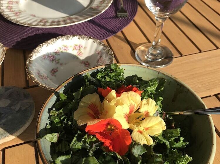 Hotel Golden Pathways Retreat And B&b