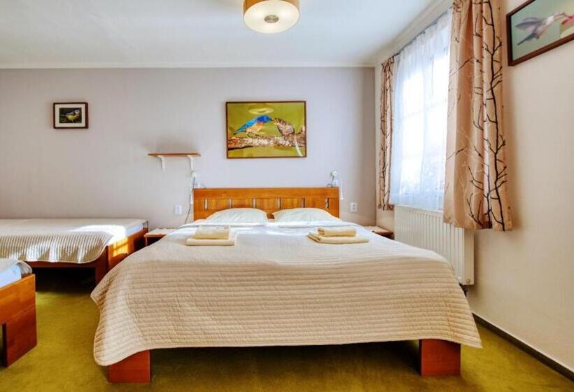 בית מלון כפרי Hotýlek Pod Smrkem