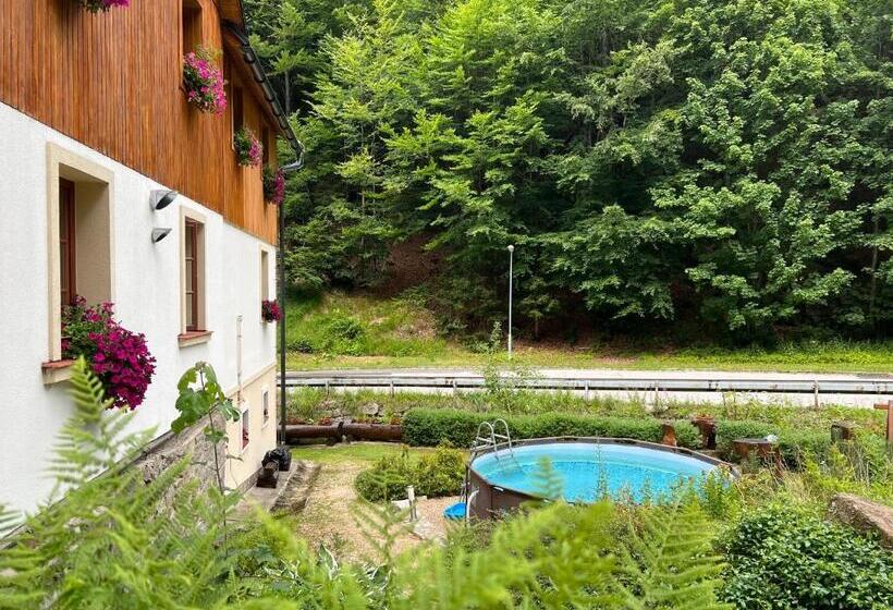 בית מלון כפרי Hotýlek Pod Smrkem