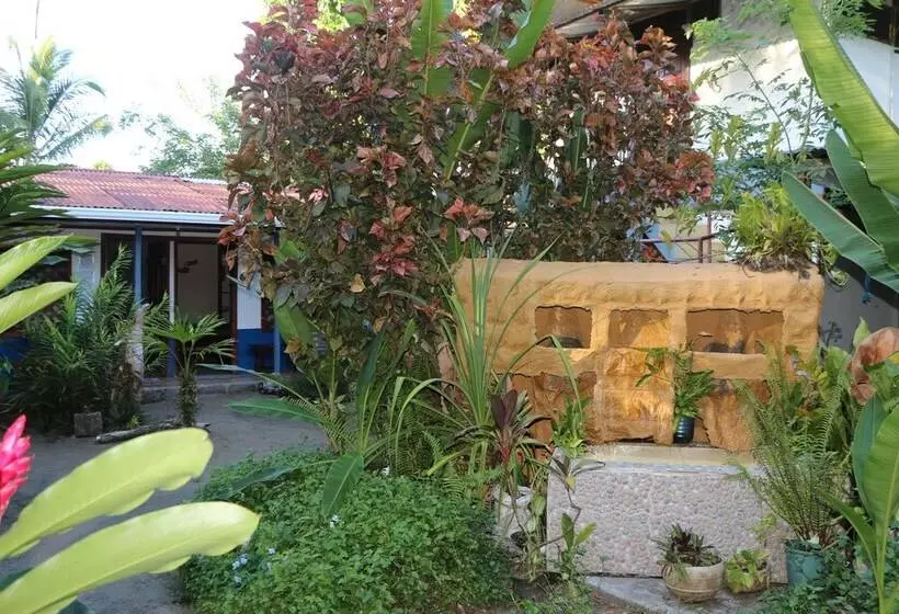 ホテル La Casona De Tortuguero