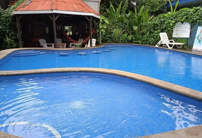ホテル La Casona De Tortuguero