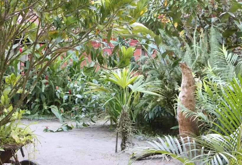 ホテル La Casona De Tortuguero