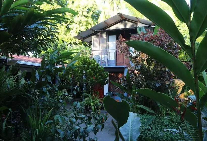 ホテル La Casona De Tortuguero