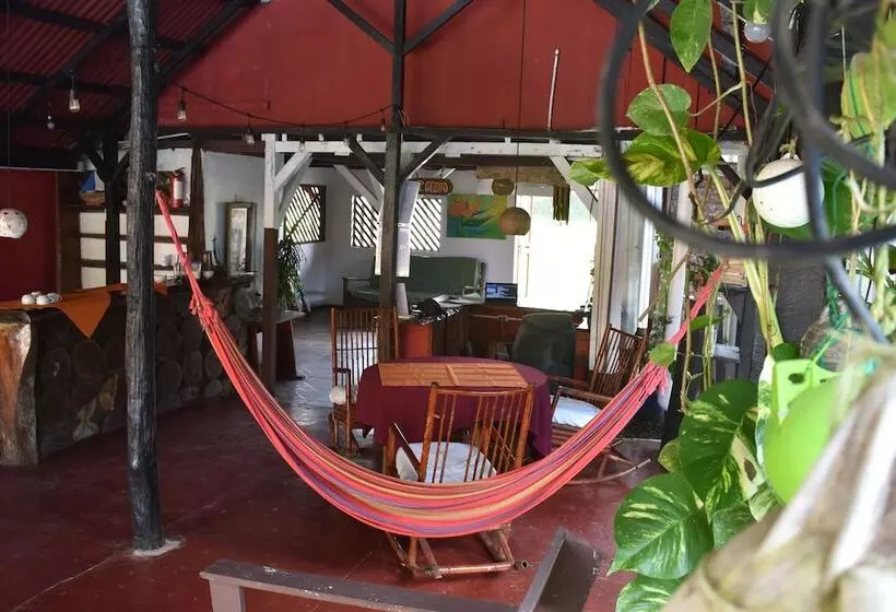 ホテル La Casona De Tortuguero
