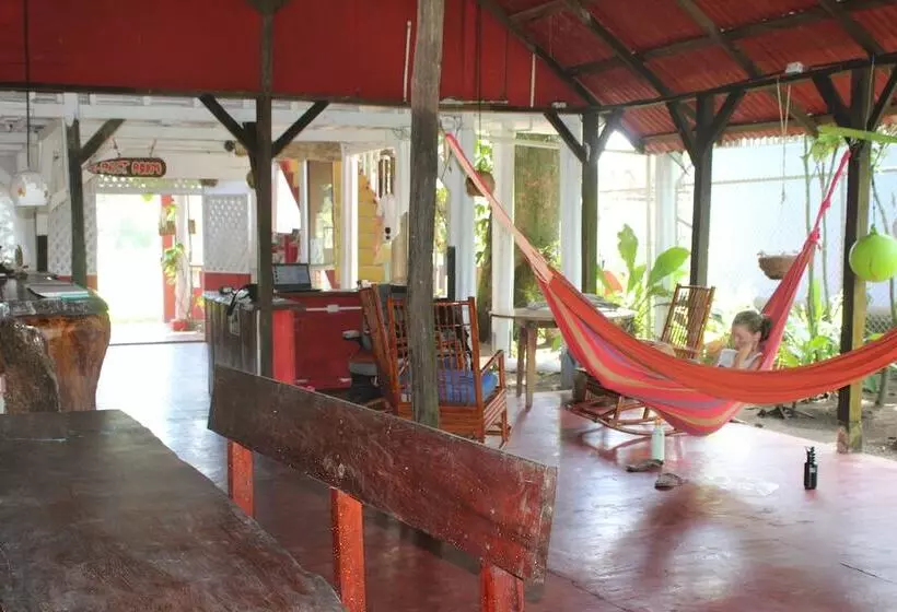 ホテル La Casona De Tortuguero