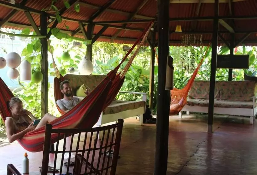 ホテル La Casona De Tortuguero
