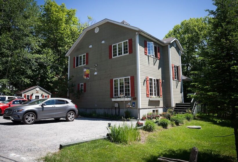 בית מלון כפרי La Chaumiere De L  Anse