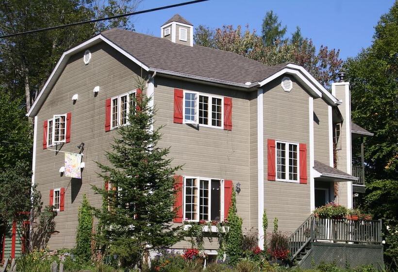 בית מלון כפרי La Chaumiere De L  Anse