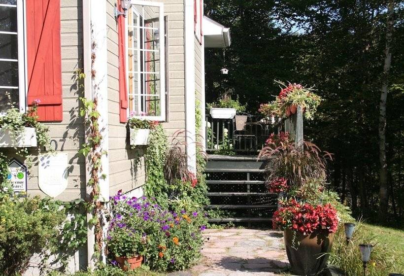 בית מלון כפרי La Chaumiere De L  Anse