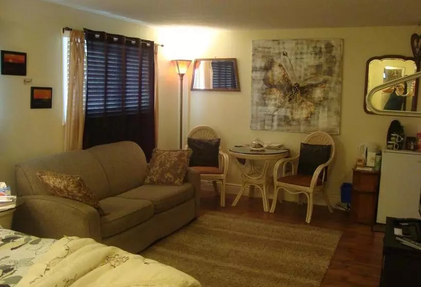 Hotelli Paddington Place Bed & Breakfast