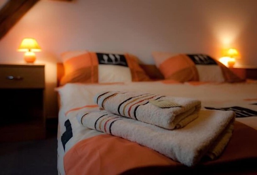 בית מלון כפרי Pension Smetanuv Statek