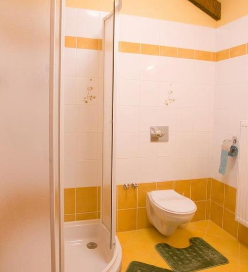 בית מלון כפרי Pension Smetanuv Statek