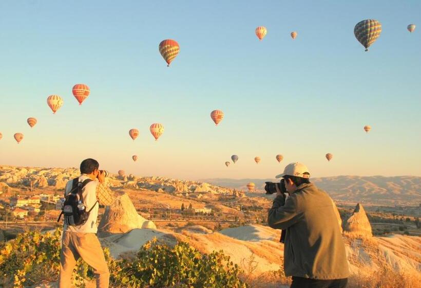 فندق The Village Cave