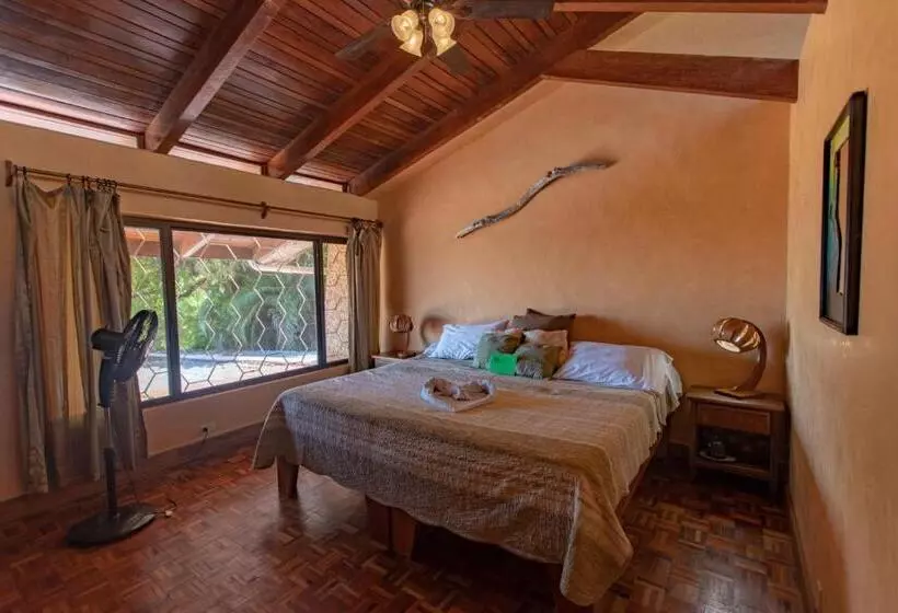 Villa Mango B&b
