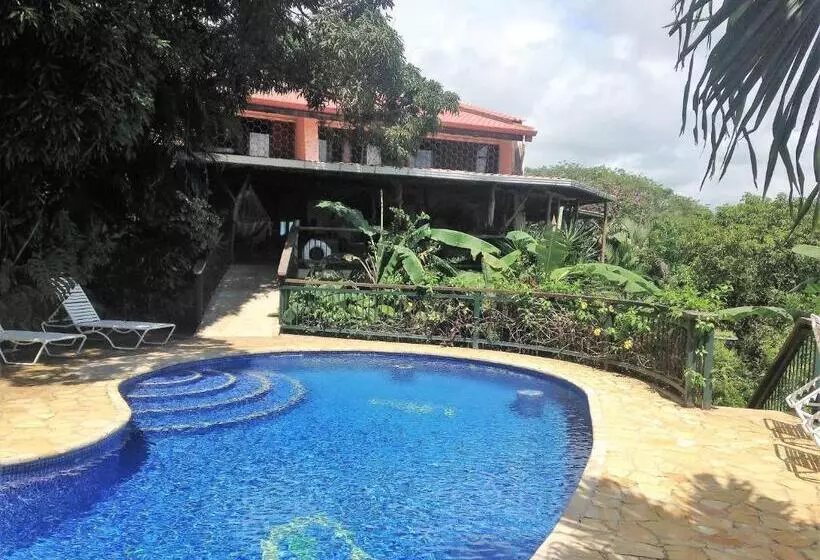 Villa Mango B&b