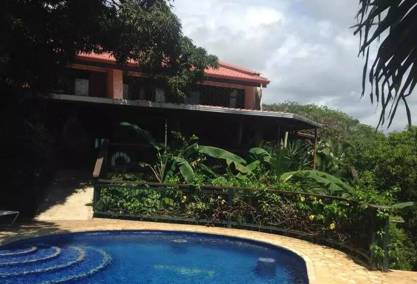 Villa Mango B&b