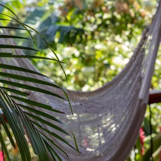 Villa Mango B&b