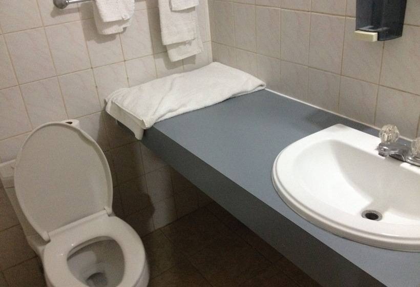 American Plaza Motel