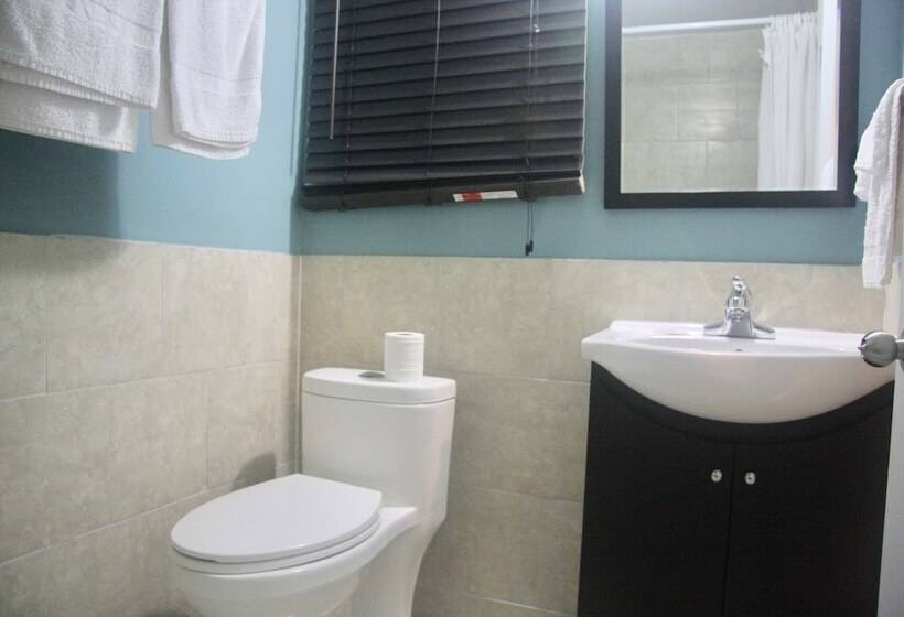 American Plaza Motel