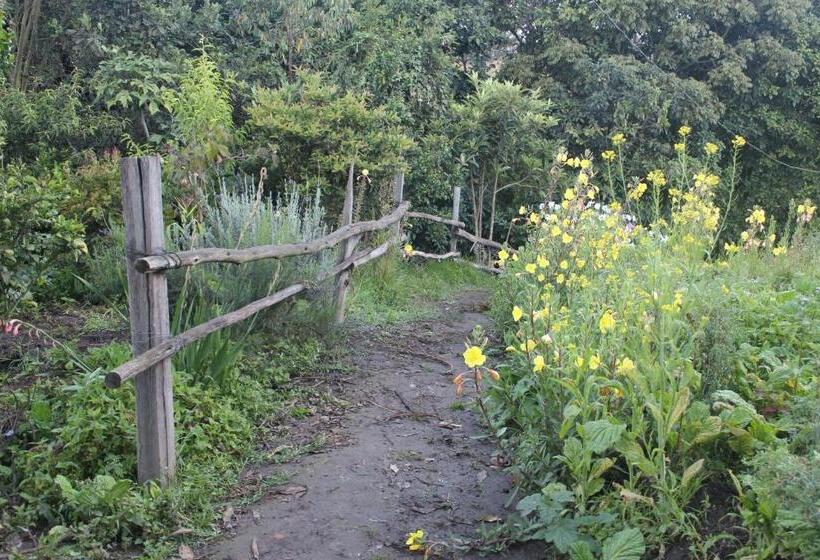 Bed and Breakfast El Tio Hostal