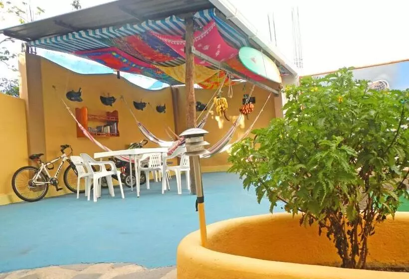Aamiaismajoitus (B&B) Galapagos Eco Friendly