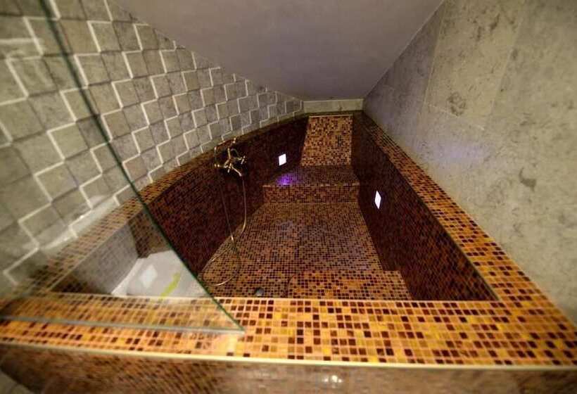 Отель Castel Transilvania