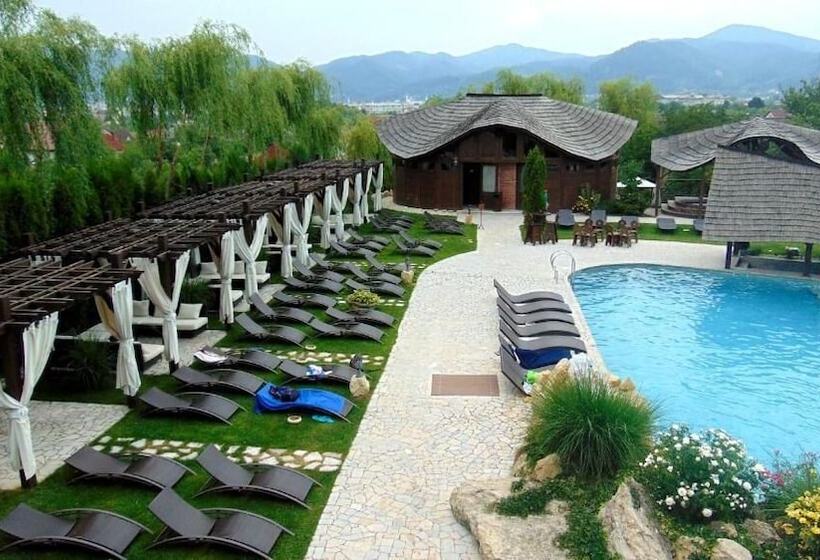 Отель Castel Transilvania