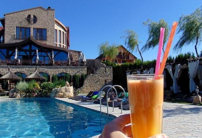 Отель Castel Transilvania