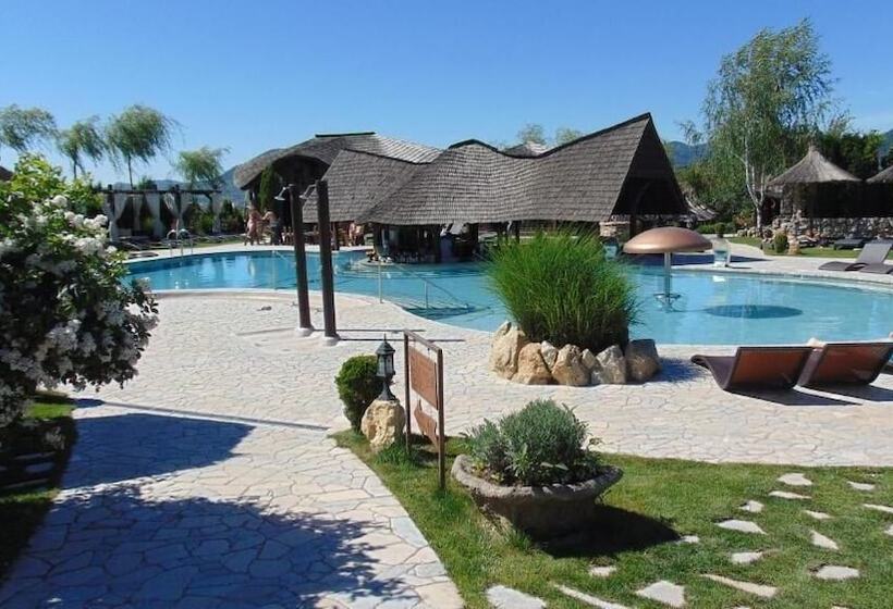 Отель Castel Transilvania