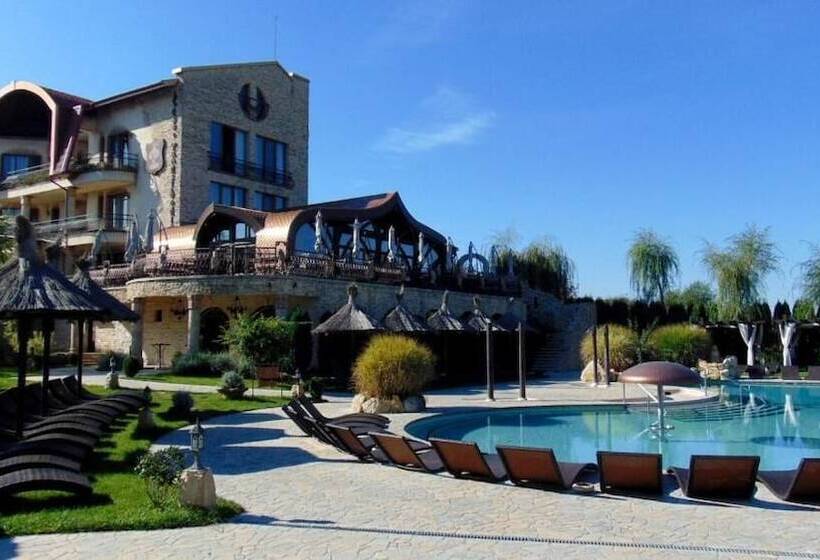 Отель Castel Transilvania