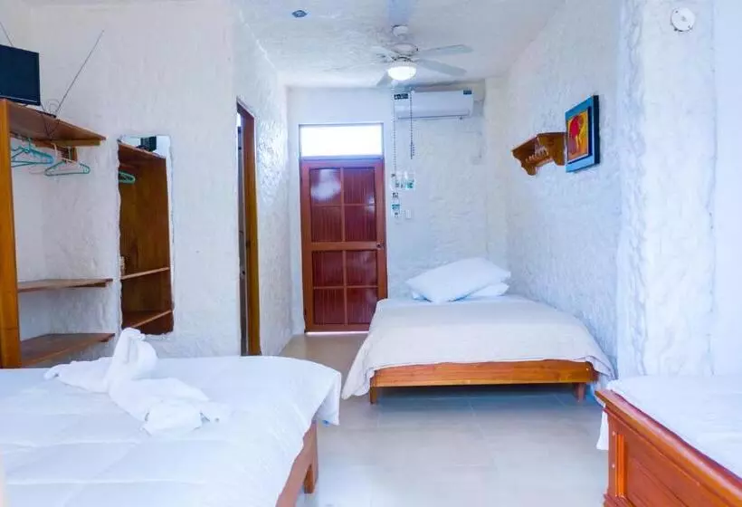 ホテル Royal Galápagos Inn