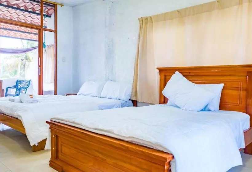 ホテル Royal Galápagos Inn