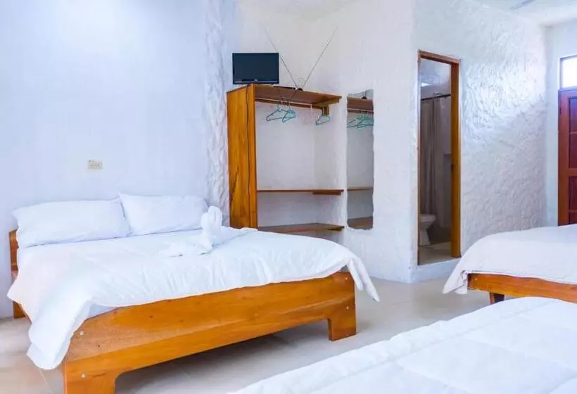 ホテル Royal Galápagos Inn