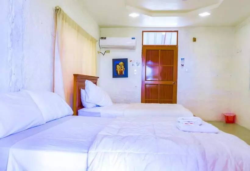 ホテル Royal Galápagos Inn