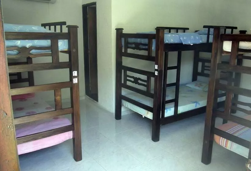 Retkeilymaja La Masia Hostal